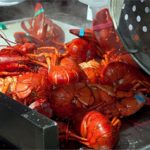 Hampton Beach Seafood Festival