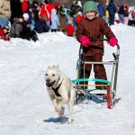 new hampshire dog sled races, annual nh event