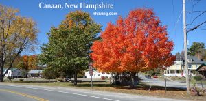 Autumn Photo Canaan NH US Route 4