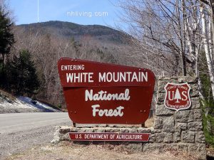 The White Mountain National Forest is a land of many uses.
