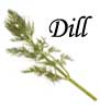 Dill