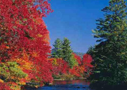 Foliage Season Effingham New Hampshire Lakes region