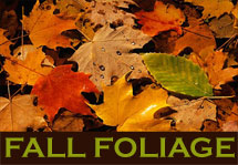 NH Fall Foliage