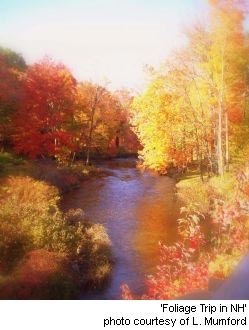 Foliage Season, Lee New Hampshire Seacoast region