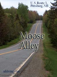 "Moose Alley" is US Route 3 north of Pittsburg, NH