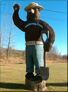 Canaan New Hampshire sculpture, dartmouth Lake Sunapee NH