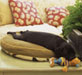 orthopedic pet bedding