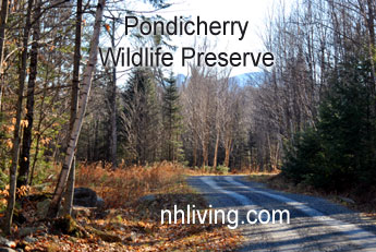 Pondicherry Preserve