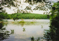 rocky bound pond croydon lake sunapee region NH