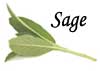 Sage