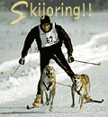 New Hampshire skijoring