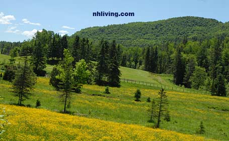 Spring View Clarksville NH New Hampshire