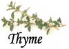 Thyme