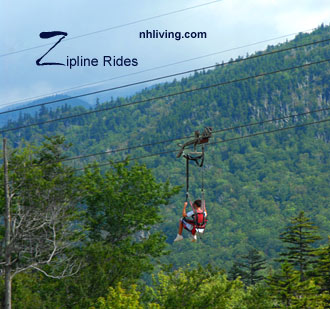 Alpine Adventures Zipline Tours