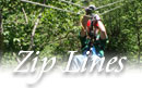 NH Canopy Tours, Ziplines, Zip Rides