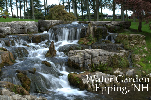 Epping NH Water Garden, Seacoast New Hampshire