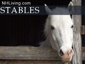 New Hampshire stables equestrian centers
