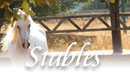 New Hampshire stables equestrian centers