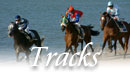 New Hampshire race tracks dog tracks horse tracks off track betting