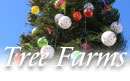 New Hampshire christmas tree farms
