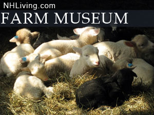 New Hampshire Farm Museum