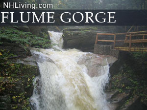 Flume Gorge, Franconia Notch State Park, White Mountain National Forest New Hampshire