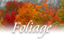 Monadnock New Hampshire Fall Foliage Drives