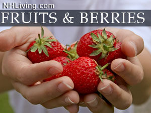 NH Berry Growers You Pick Fruit Farms