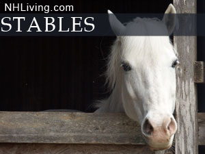 New Hampshire Riding Stables