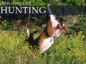 New Hampshire Hunting Information