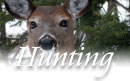 New Hampshire Hunting Season