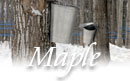 New Hampshire Maple Sugaring History