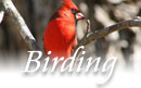 New Hampshire birding locations
