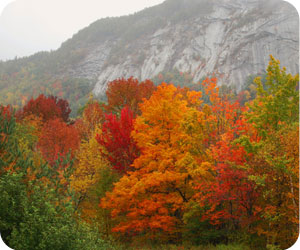 New Hampshire Foliage Drives, Scenic Byways, Fall Foliage Season