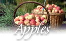 New Hampshire apple orchards