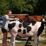 Hillsborough County NH Agricultural Fair
