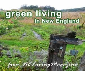 Green Living New England, Going Green for Healthy Holidays