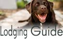 NH Lodging Guide to NH Inns, Hotels, Resorts, Vacation Rental Homes, Pet Friendly Lodging, Packages