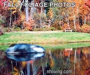 NH Fall Photo Tour