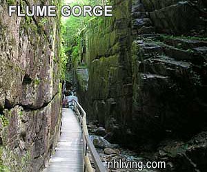 Franconia Notch Flume Gorge Photo Slideshow