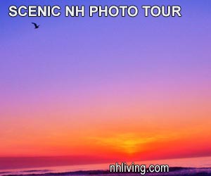 Scenic NH Photo Tour