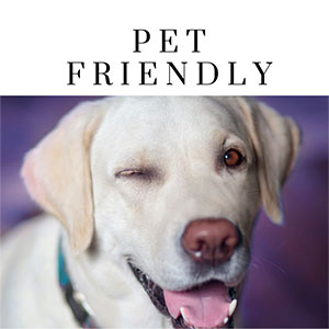 NH Pet Friendly Lodging