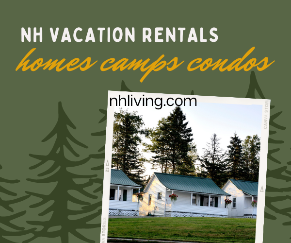 NH vacation rentals homes cabins camps lodges condos ski homes